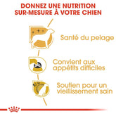 Royal Canin Aliment Sec Chien Yorkshire Terrier Adulte 1,5 Kg PROMO